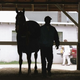 Illustration for article titled Police Continue Investigation Into Body Found At Churchill Downs By Questioning Horse Of Interest